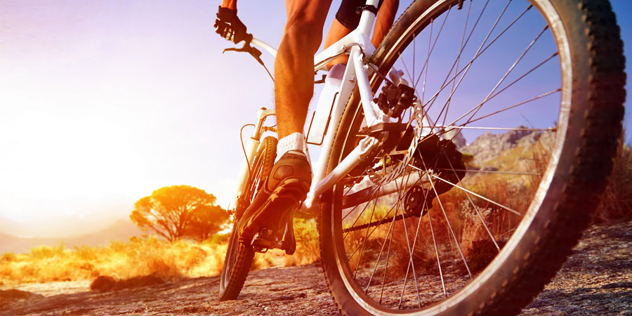 Industria della bicicletta