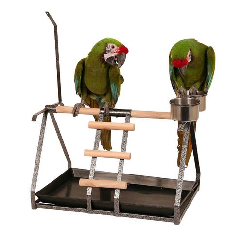 Parco giochi per uccelli playstand del pappagallo